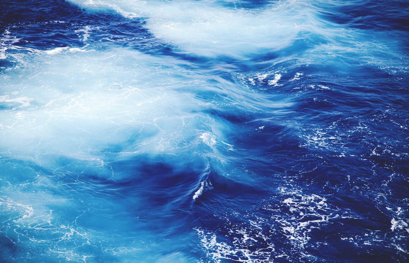 Фотография члена команды