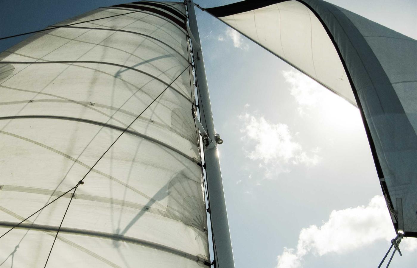 Фотография члена команды